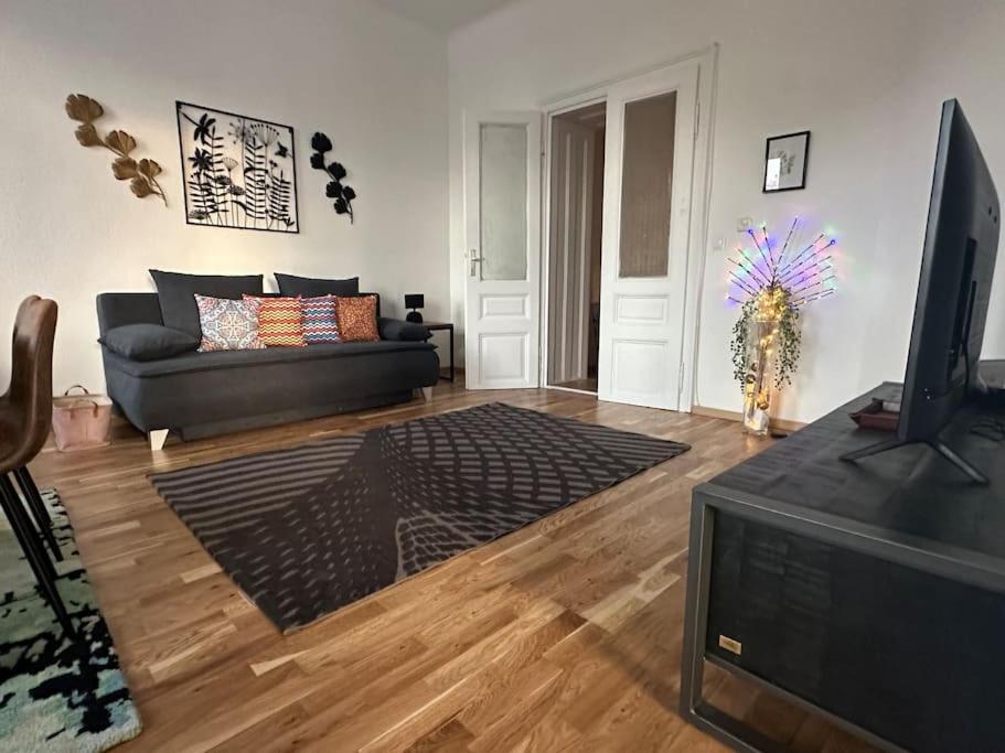 Klimatisierter Wiener Altbauflair Im Zentrum Wiens Esterno foto